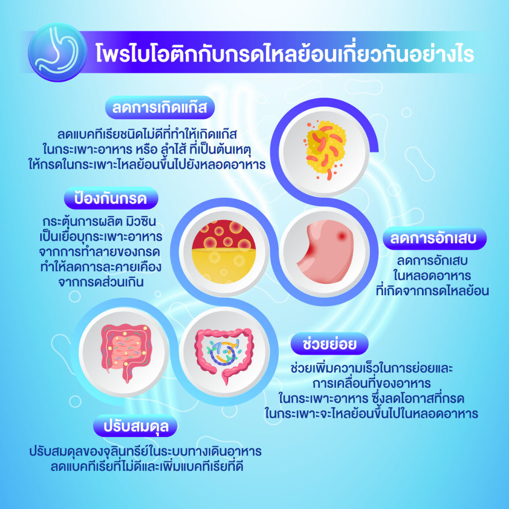 Shoku โพรไบโอติก 30 แคปซูล เซนจิ